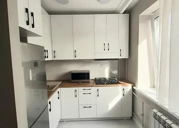 Comfortable Apartment In Almaty