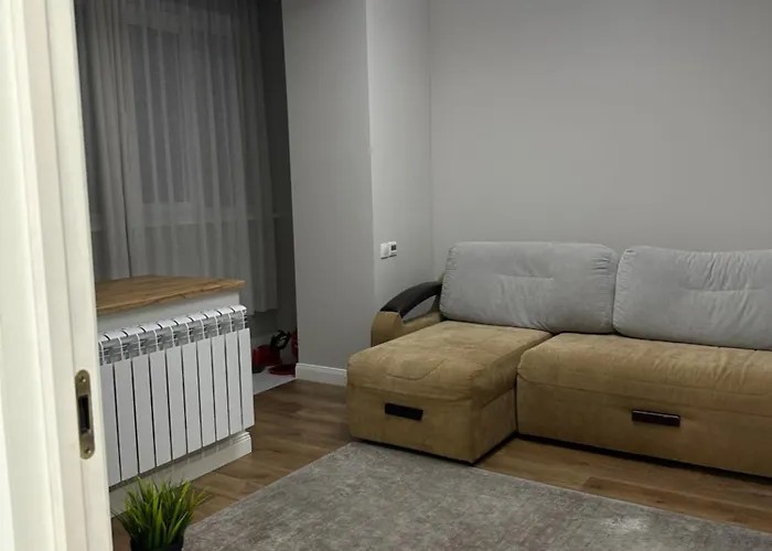 Comfortable Apartment In Almaty
