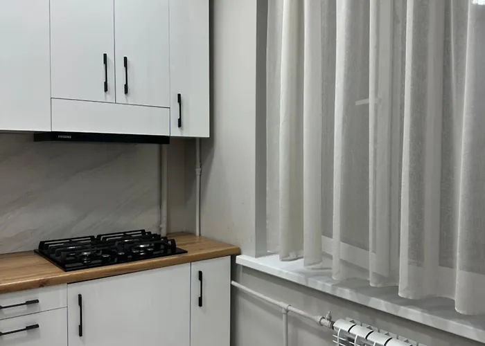 Comfortable Apartment In Almaty