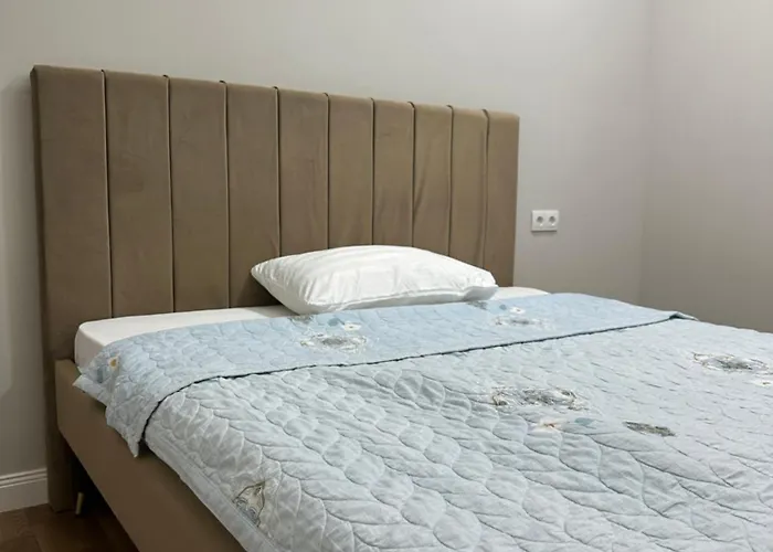 Comfortable Apartment In Almaty